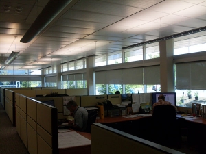 motorized-blinds-office
